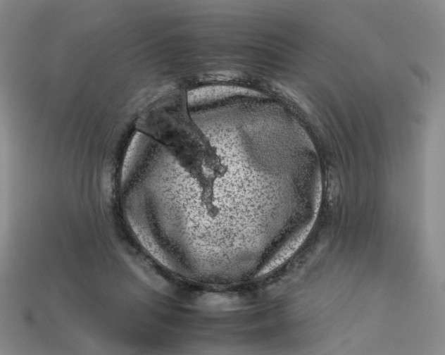 X0000113330455200910051149