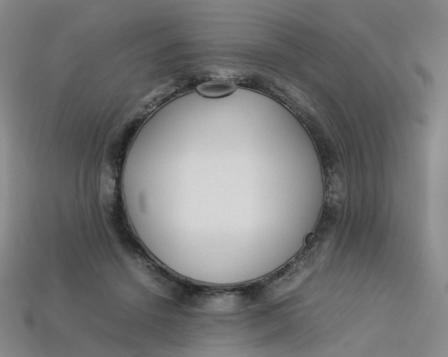X0000113330456200910051149