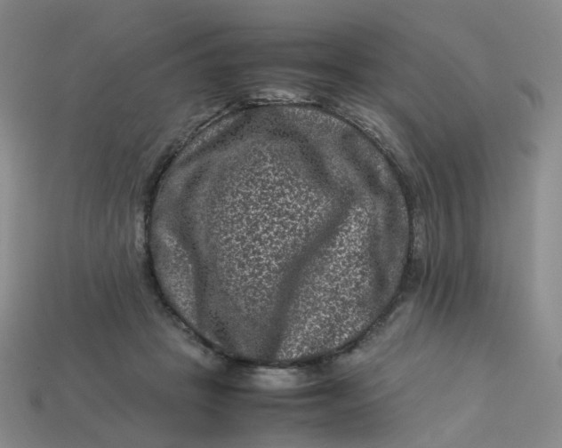 X0000113330457200910051149