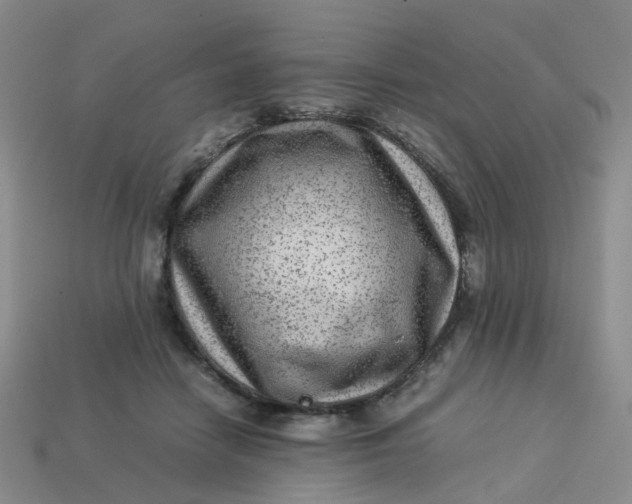 X0000113330458200910051149