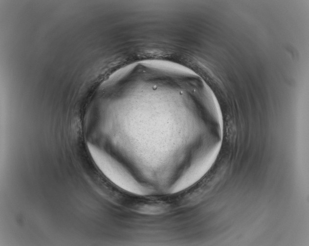X0000113330459200910051149