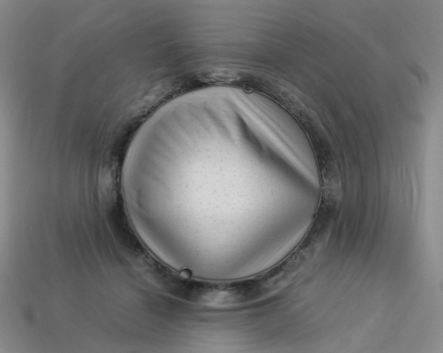 X0000113330460200910051149