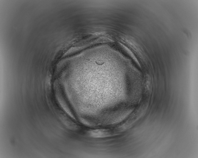 X0000113330461200910051149