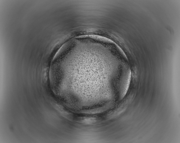 X0000113330462200910051149