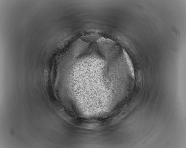 X0000113330463200910051149
