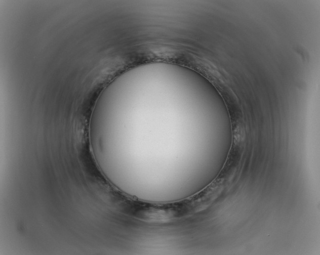 X0000113330464200910051150