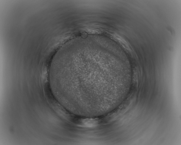 X0000113330465200910051150