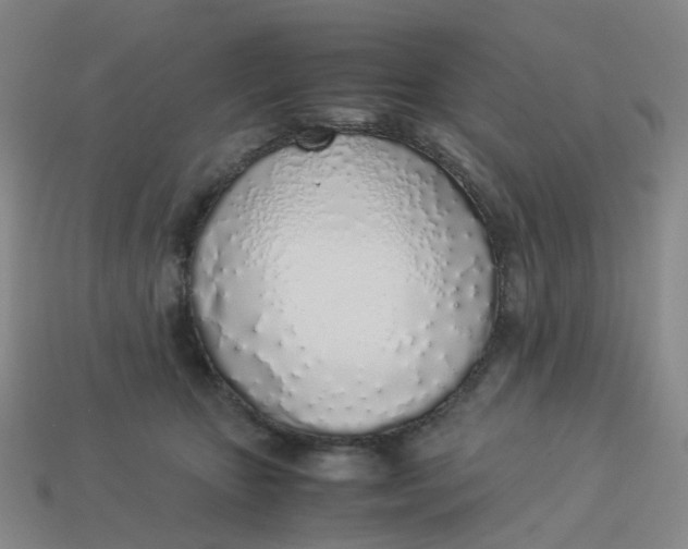 X0000113330467200910051150
