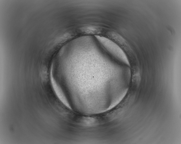 X0000113330469200910051150