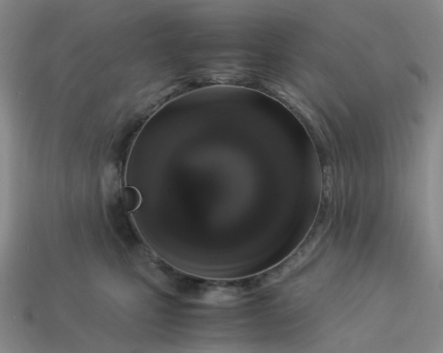 X0000113330471200910051150