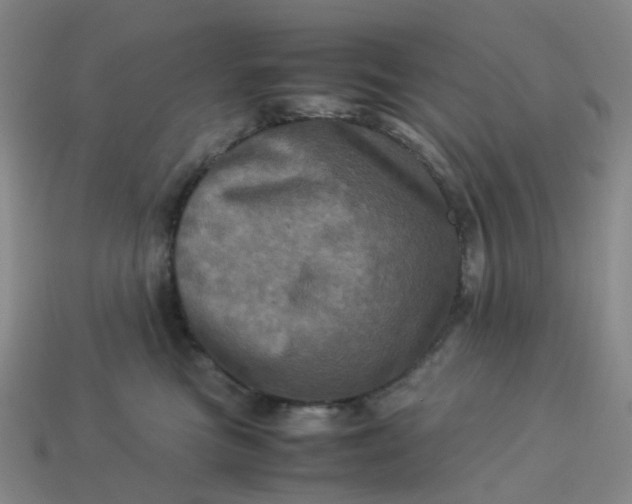 X0000113330473200910051150