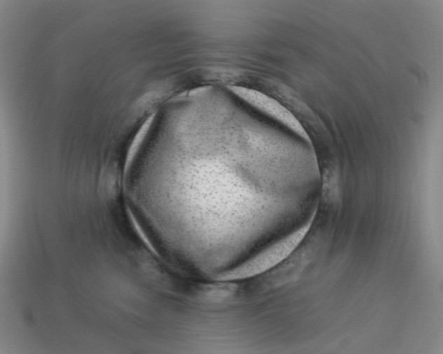 X0000113330474200910051150