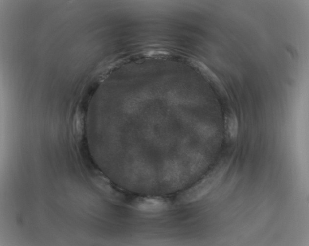X0000113330475200910051150