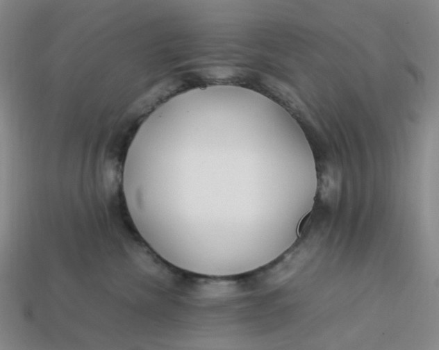 X0000113330476200910051150