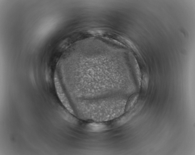 X0000113330477200910051150