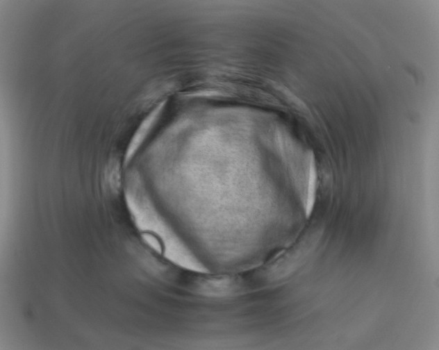 X0000113330479200910051150