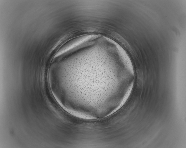 X0000113330482200910051149