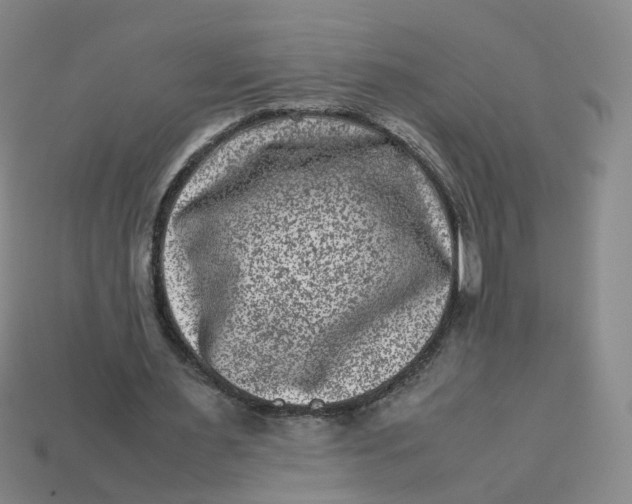 X0000113330483200910051149