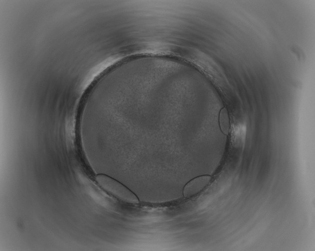 X0000113330484200910051149
