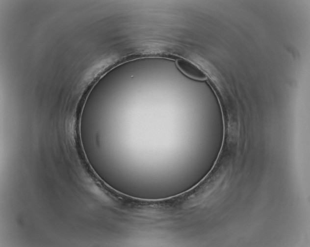 X0000113330485200910051149