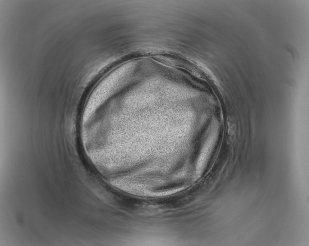 X0000113330487200910051149