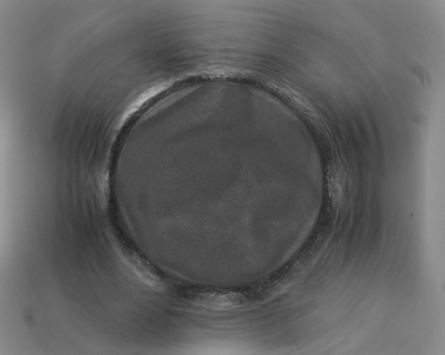 X0000113330488200910051149