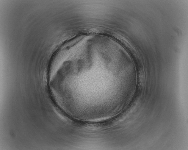X0000113330489200910051149