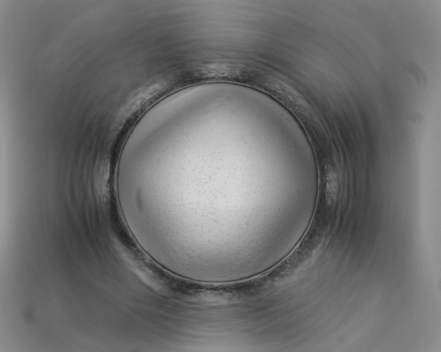 X0000113330490200910051149