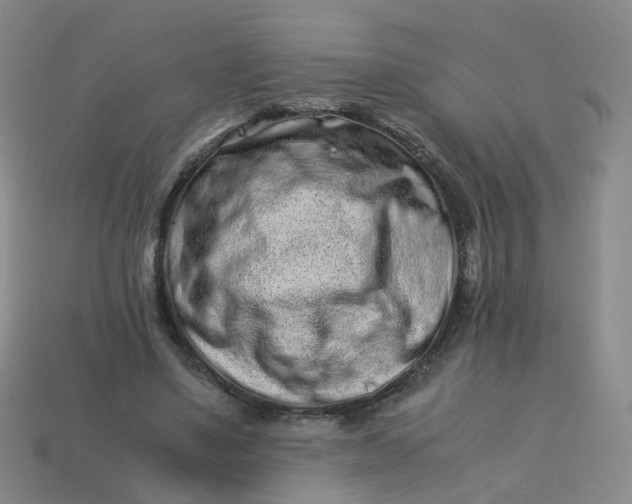 X0000113330491200910051149
