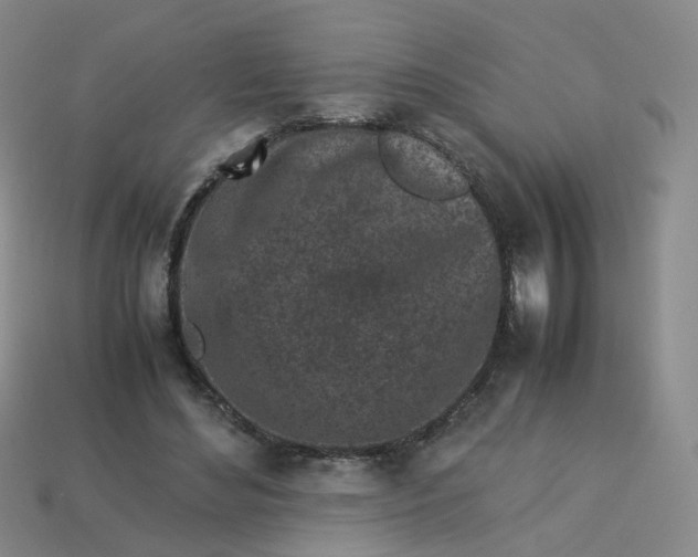 X0000113330492200910051149
