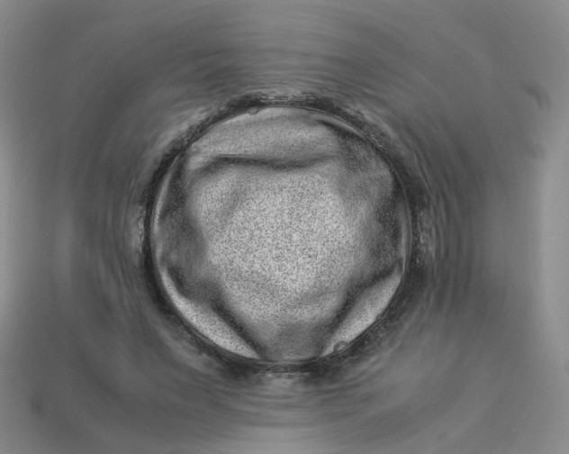X0000113330495200910051149
