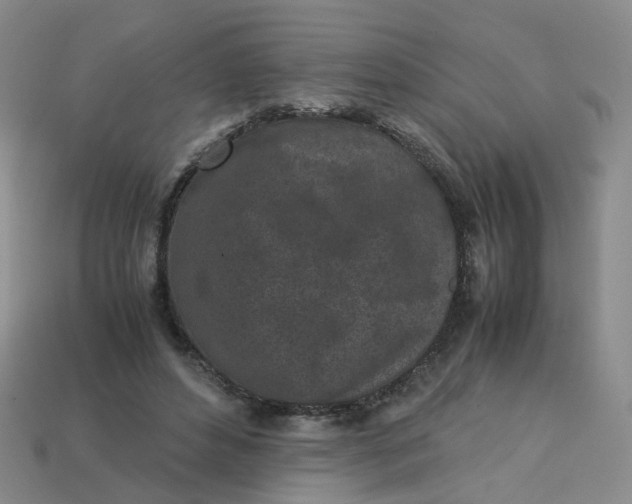 X0000113330496200910051149