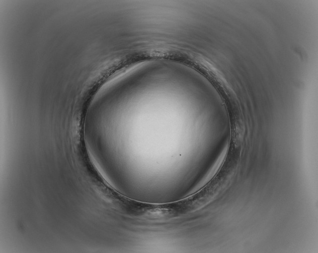 X0000113330497200910051149