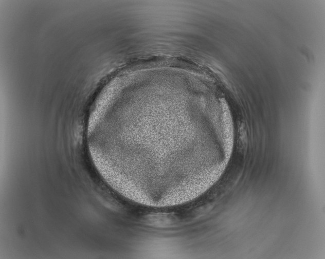 X0000113330499200910051149