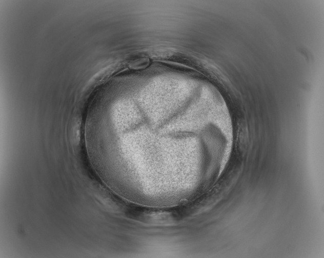 X0000113330501200910051149