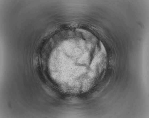 X0000113330503200910051149