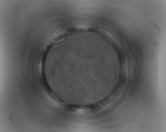 X0000113330504200910051149