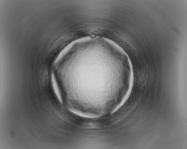 X0000113330506200910051149