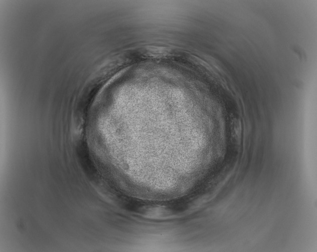 X0000113330507200910051149