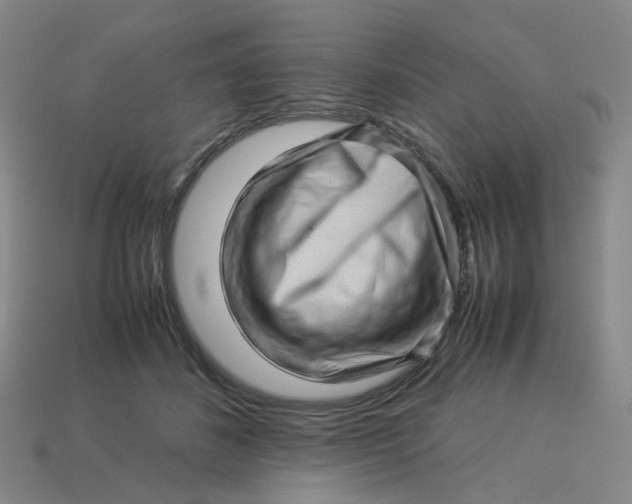 X0000113330508200910051149