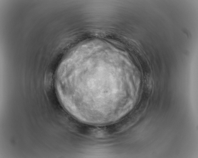 X0000113330511200910051149