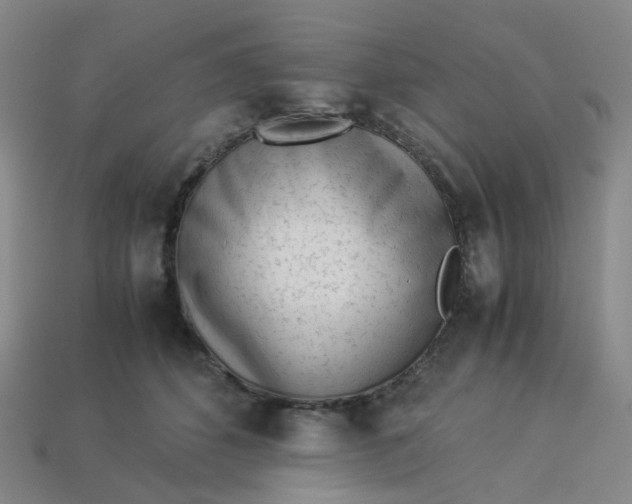 X0000113330512200910051149