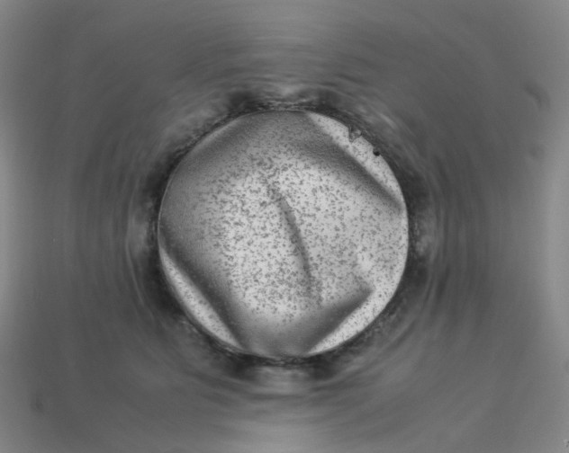 X0000113330515200910051149