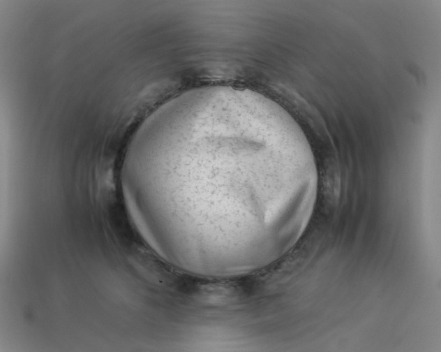 X0000113330516200910051149