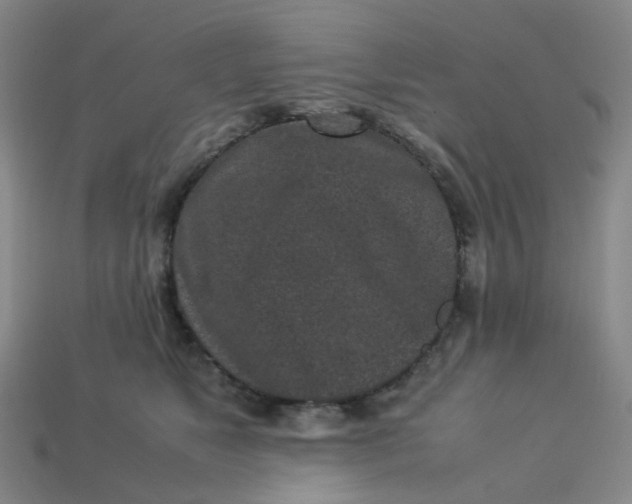 X0000113330517200910051149