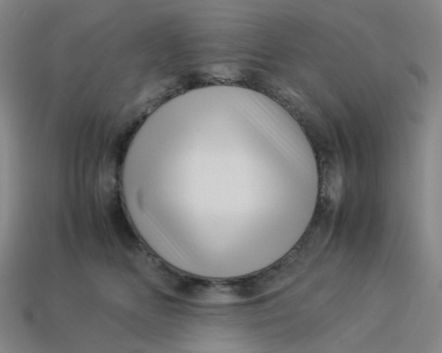 X0000113330518200910051149