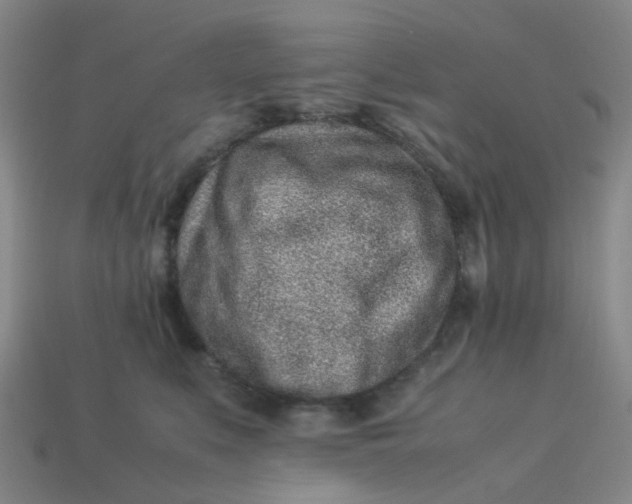 X0000113330519200910051149