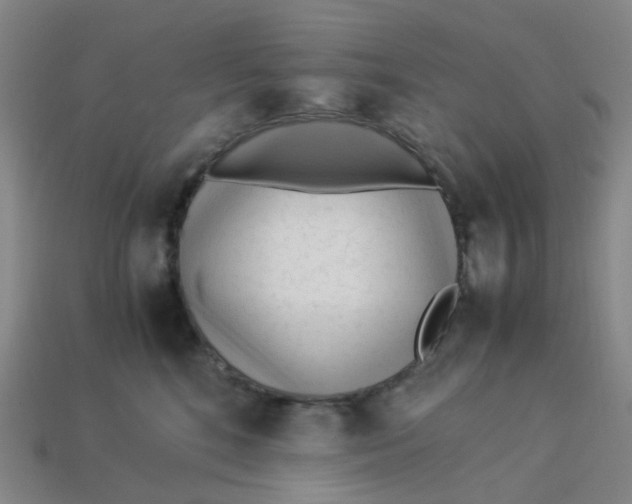 X0000113330520200910051149
