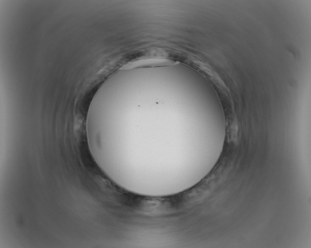 X0000113330521200910051149
