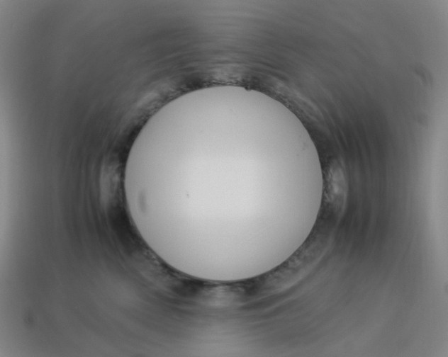 X0000113330522200910051149